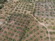 Agios Vasilis Kreta, Agios Vasilis: Erstklassiges Baugrundstück zum Verkauf mit Meer- und Bergblick Grundstück kaufen